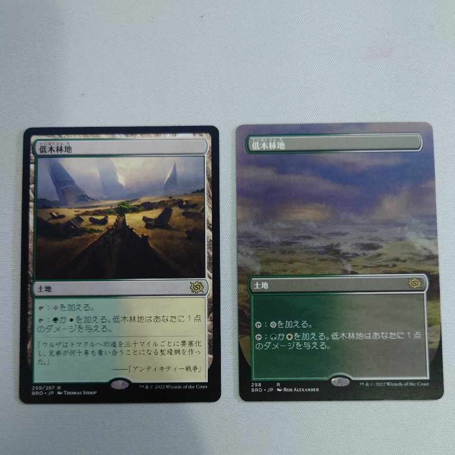 Brushland Set of 2 MTGBRO Brothers War