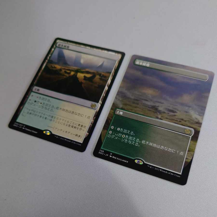Brushland Set of 2 MTGBRO Brothers War