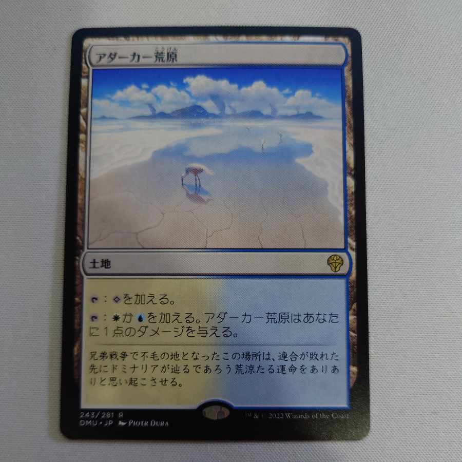 Adarkar Wastes Rare 243/281