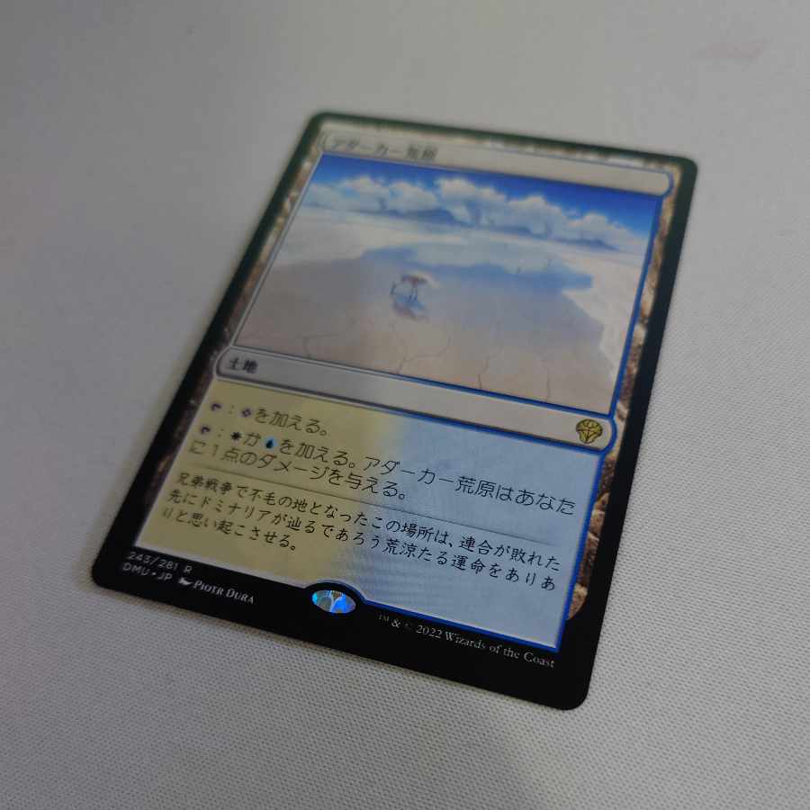 Adarkar Wastes Rare 243/281