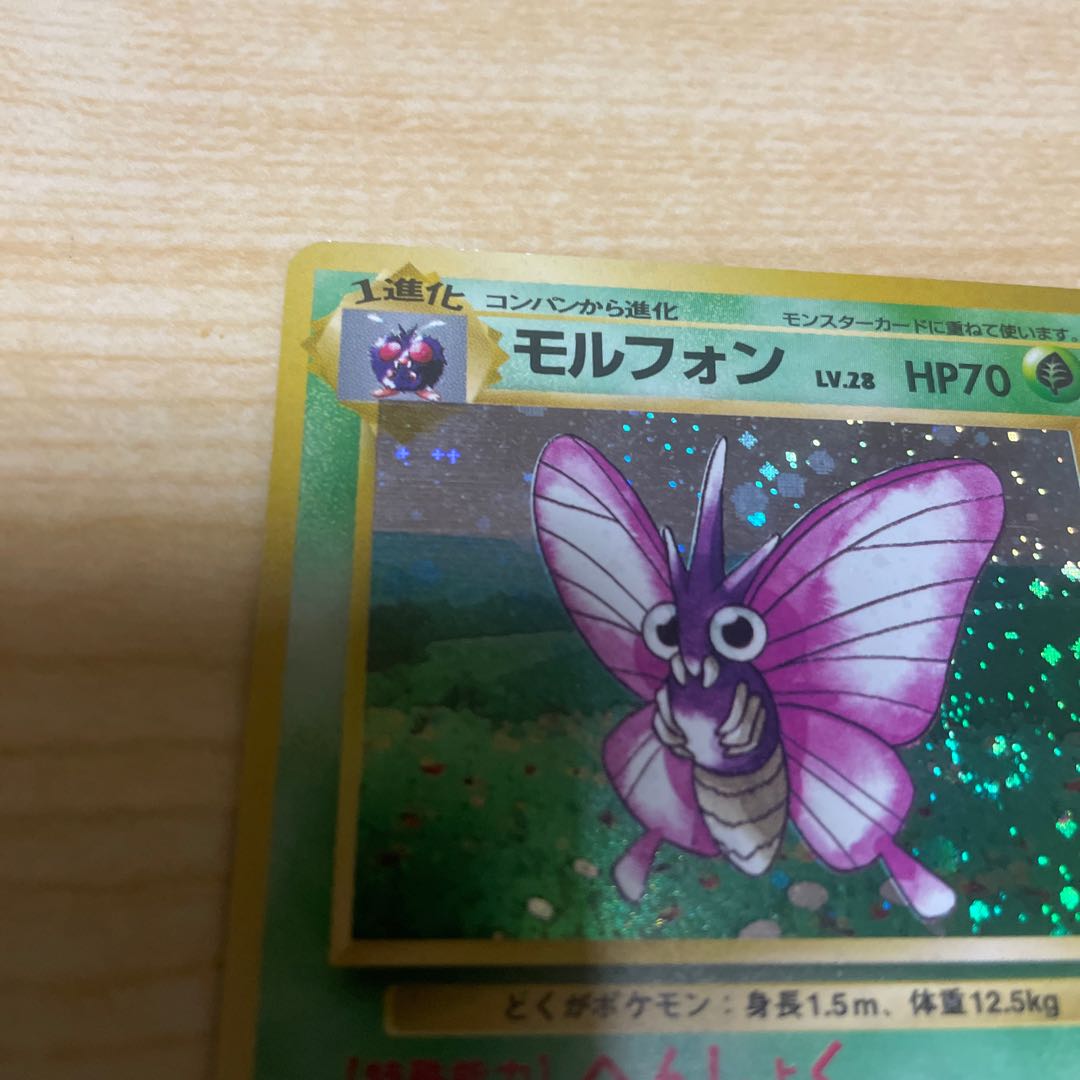 モルフォン　旧裏　ジャングル