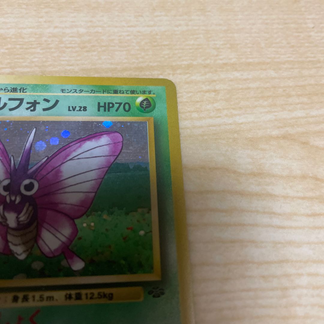 モルフォン　旧裏　ジャングル