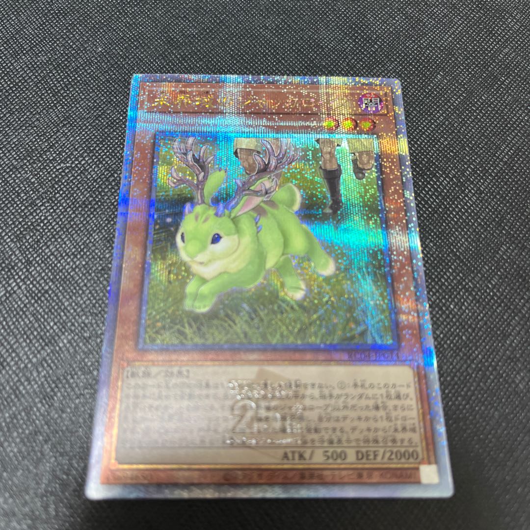 Danger! Jackalope? QSE JP014