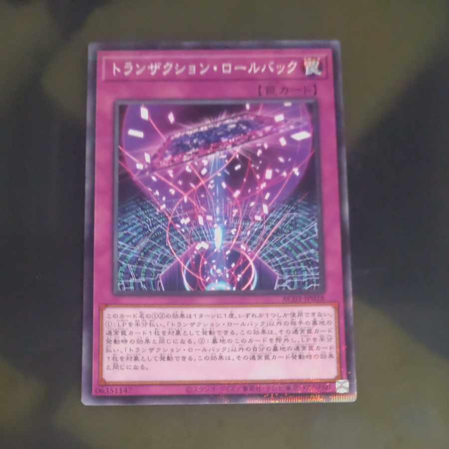 トランザクション・ロールバック パラレル ノーマル JP028　【木林堂】