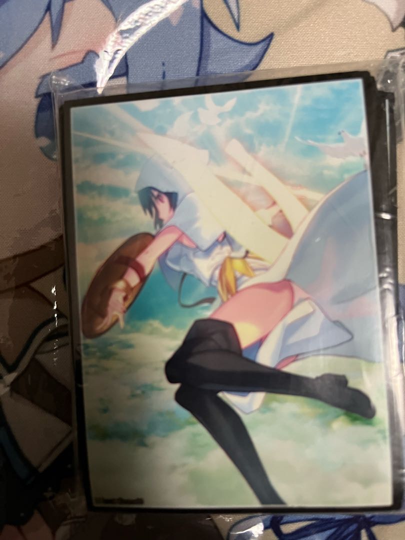 Fate FGO Valkyrie Ortrinde Sleeve