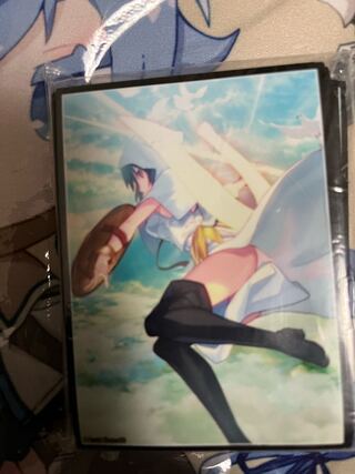 Fate FGO Valkyrie Ortrinde Sleeve