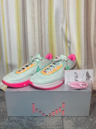 ナイキ レブロン XX Ep "タイムマシーン" 31cm