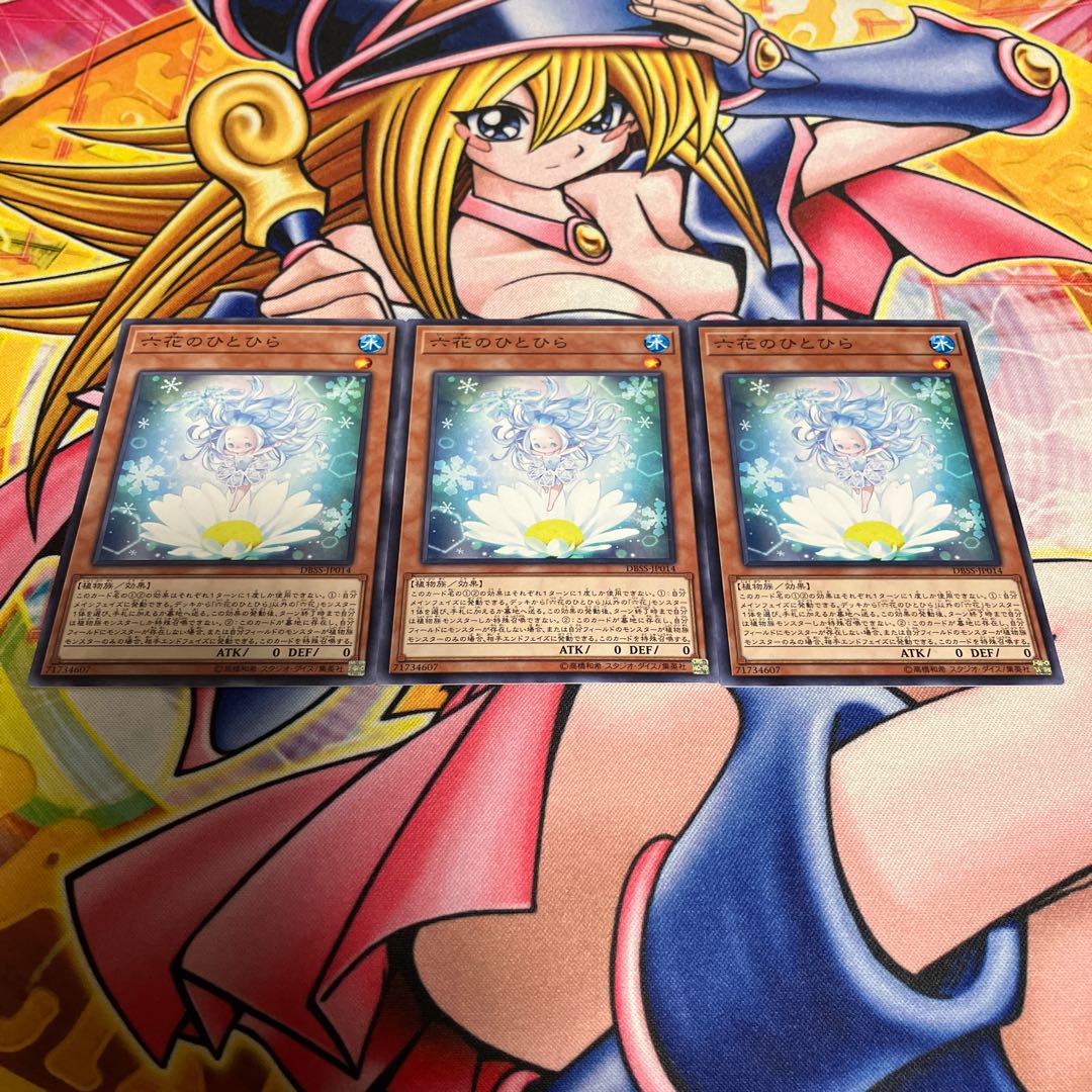 Rikka Petal Normal JP014