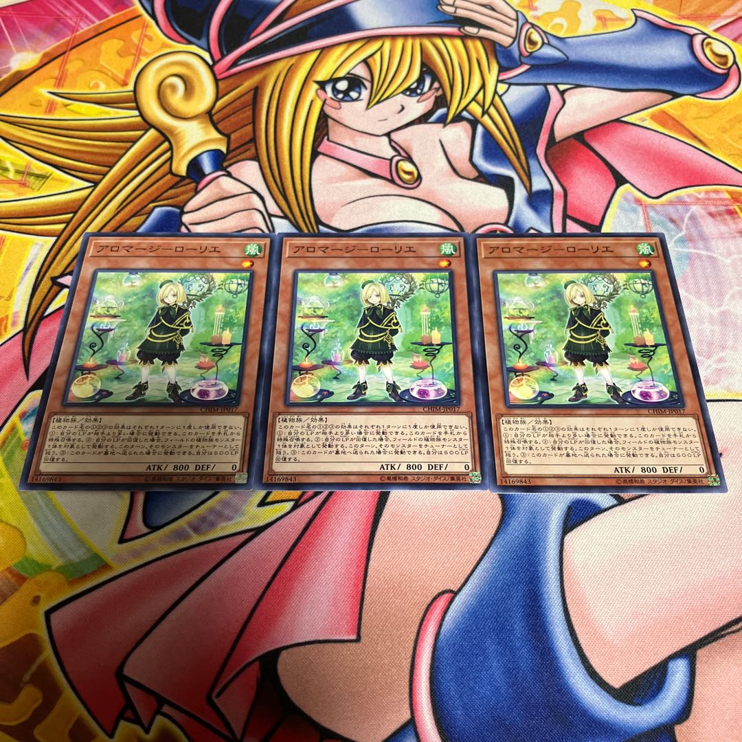 Aromage - Laurier Normal JP017