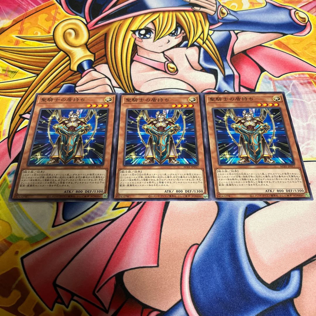 聖騎士の盾持ち ノーマル JP017