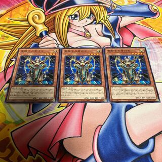 聖騎士の盾持ち ノーマル JP017