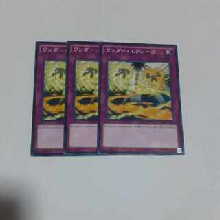 ワンダー・エクシーズ ノーマル JP076