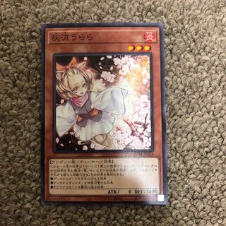 Ash Blossom & Joyous Spring Normal