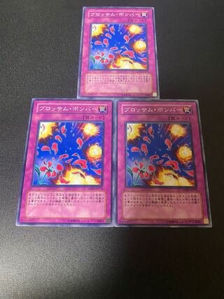 Blossom Bombardment Normal JP074