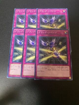 ブラック・リベンジ ノーマル JP031