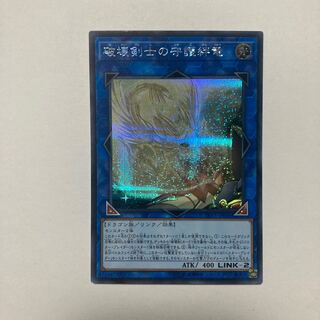 Protector Whelp of the Destruction Swordsman Secret Rare JP006