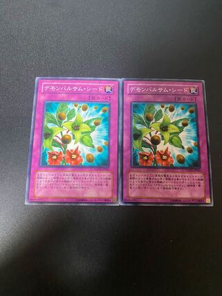 デモンバルサム・シード ノーマル JP065