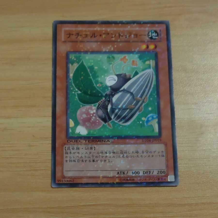 Naturia Antjaw Normal JP019