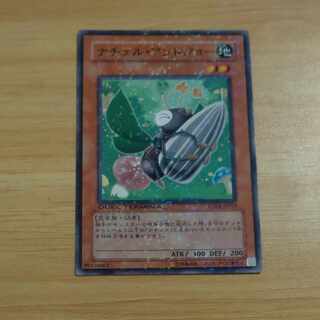 Naturia Antjaw Normal JP019