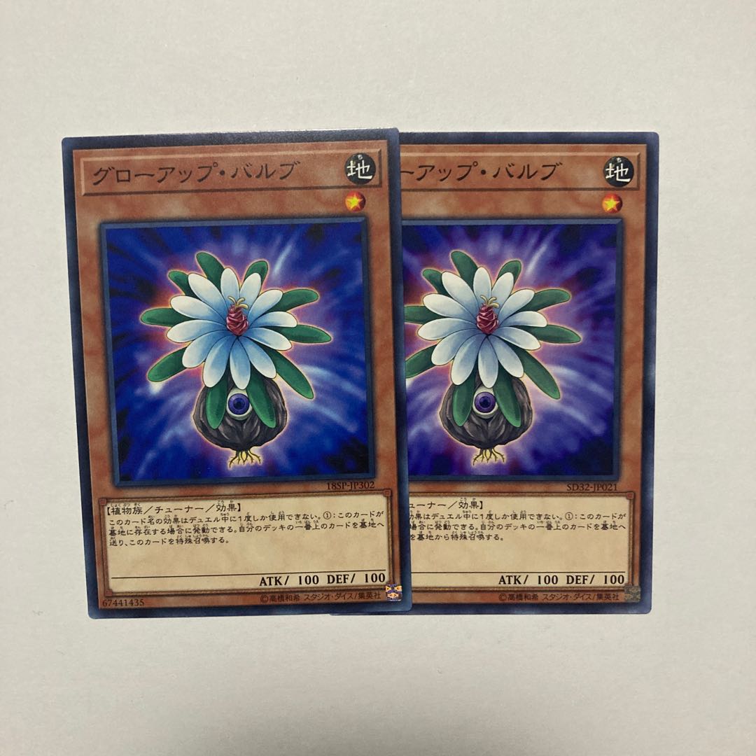 Glow-Up Bulb Normal JP021