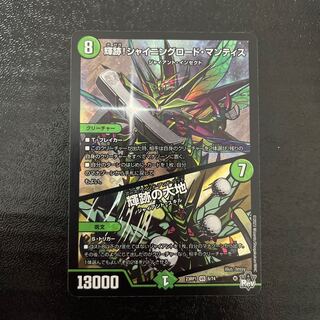 Shining Road Mantis! Shining Lord Mantis｜The Land of Bright Traces VR 6/74