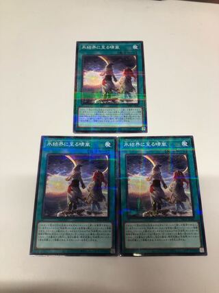 氷結界に至る晴嵐 パラレルノーマル3枚セット