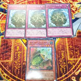 Naturia Stinkbug Naturia Sacred Tree