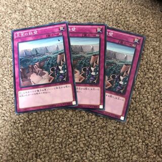 Imperial Iron Wall Normal JP017