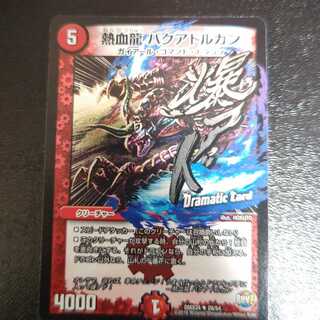 熱血龍　バクアドルガン　29/54