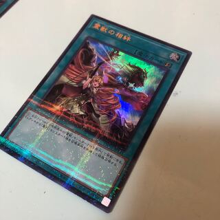 霊獣の相絆　ウルトラパラレル