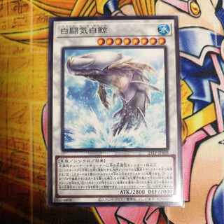 白闘気白鯨 ノーマル 23TP-JP408