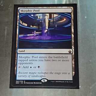 【MTG】変遷の泉　英語版