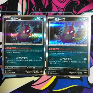 モルペコ R 051/066