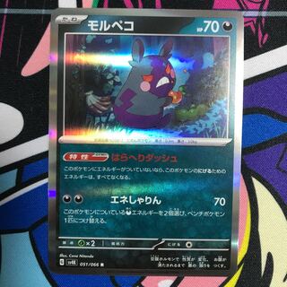 モルペコ R 051/066