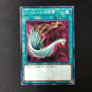 ハーピィの羽根帚 ノーマル