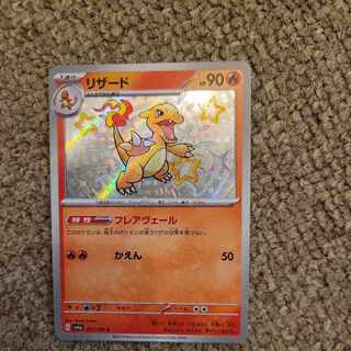 リザード S 211/190