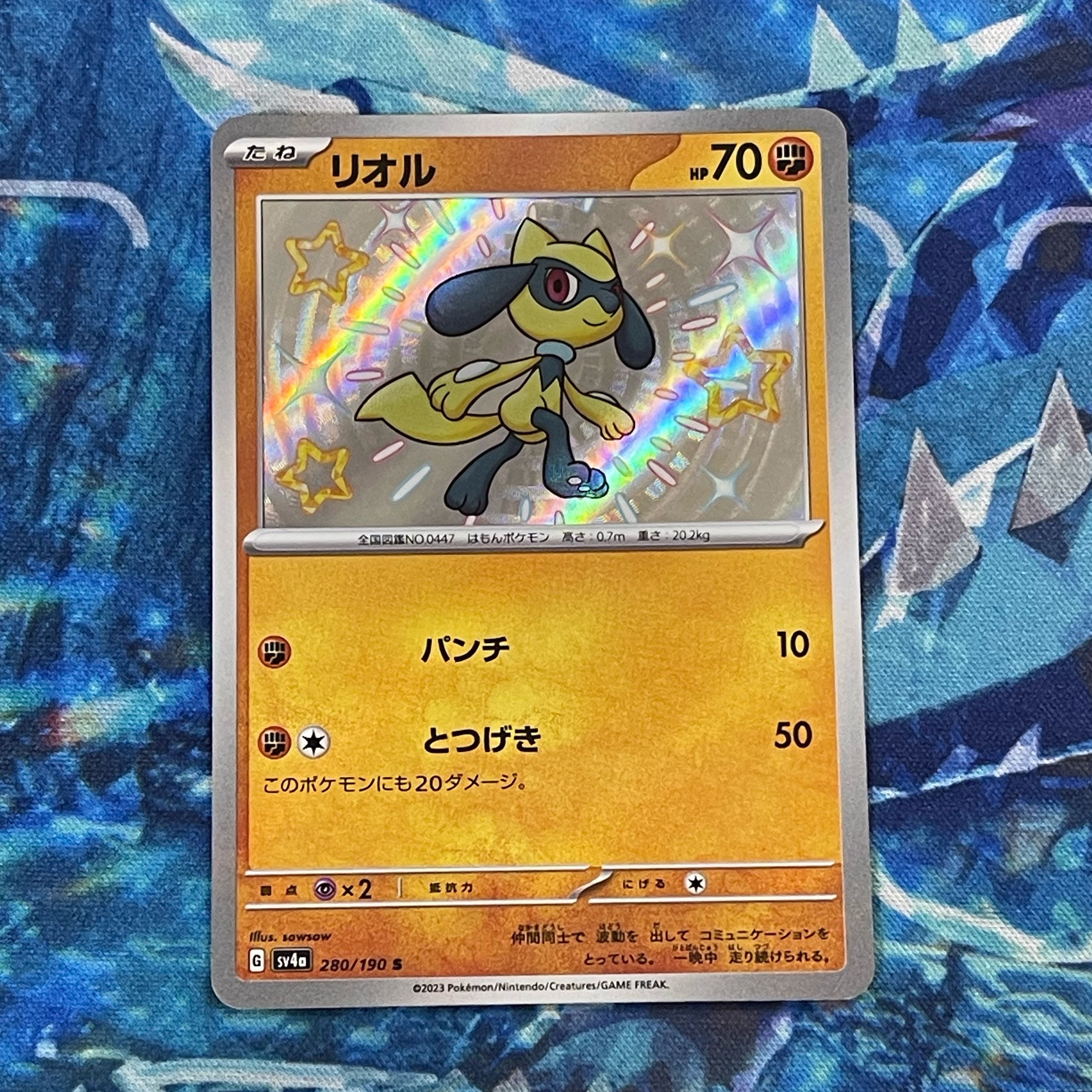 リオル S 280/190 1枚