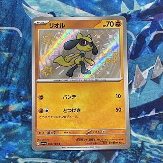 リオル S 280/190 1枚