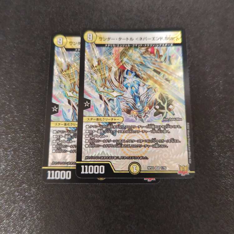 ワンダー・タートル ＜ネバーエンド.Star＞ VR 1/76