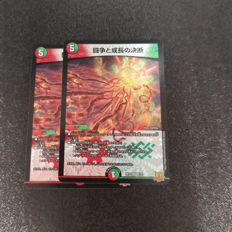 Fighting Conflict and Growth Decision VR 8/76