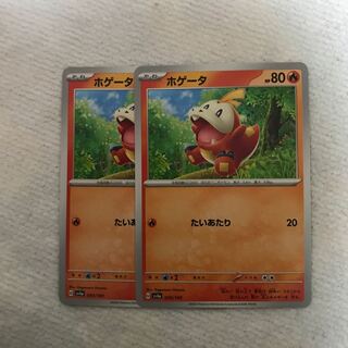 ホゲータ 030/190