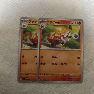 アチゲータ 031/190