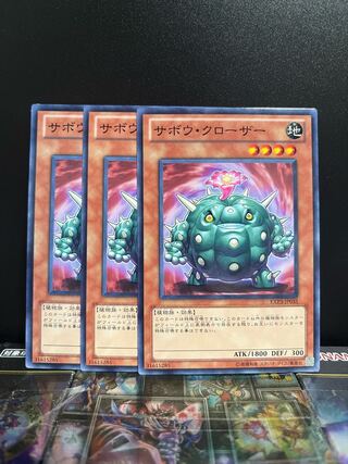 Yu-Gi-Oh Studio 6806 Cactus Bouncer Normal JP035