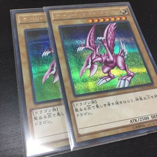 新品 未使用 ホーリーナイトドラゴン 2枚セット 遊戯王