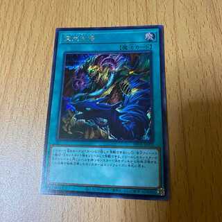 シク 突然回帰 SE シークレット