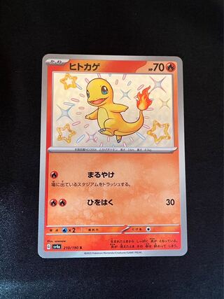 ヒトカゲ S 210/190