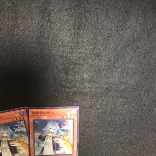 Speaker for the Ice Barriers [Super] {TW01-JP032 two copies