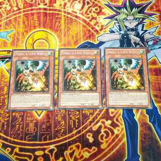 King of Games" Droll & Lock Bird English 3-card set