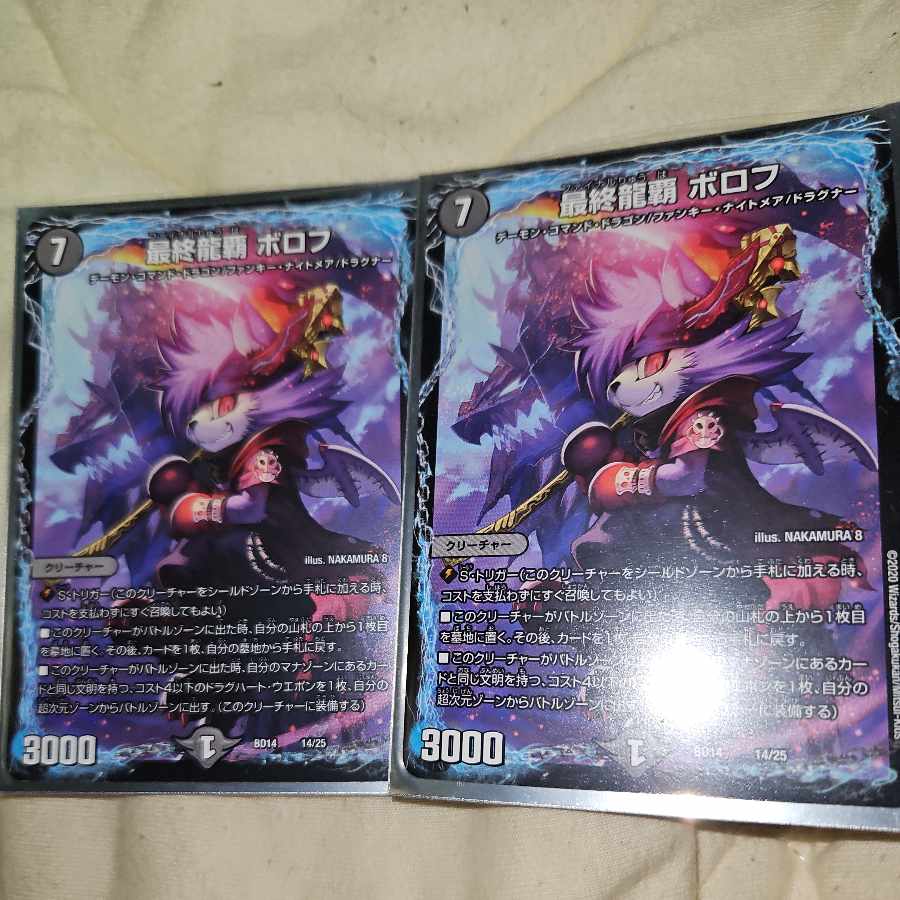 最終龍覇 ボロフ 14/25