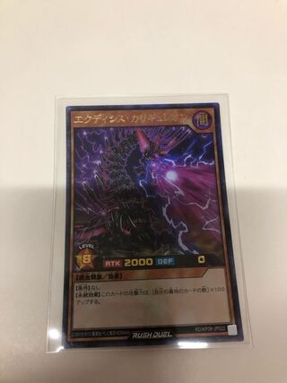 エクディシスカリギュレオン